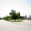 Quintana del Puente